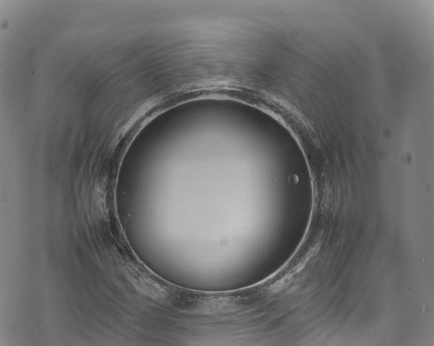 X0000074291162200609011400