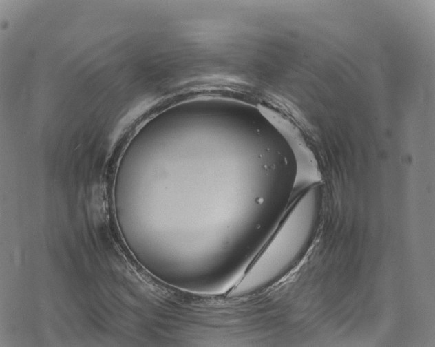 X0000074291164200609011400