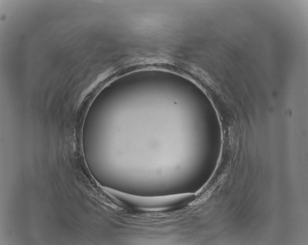 X0000074291165200609011400