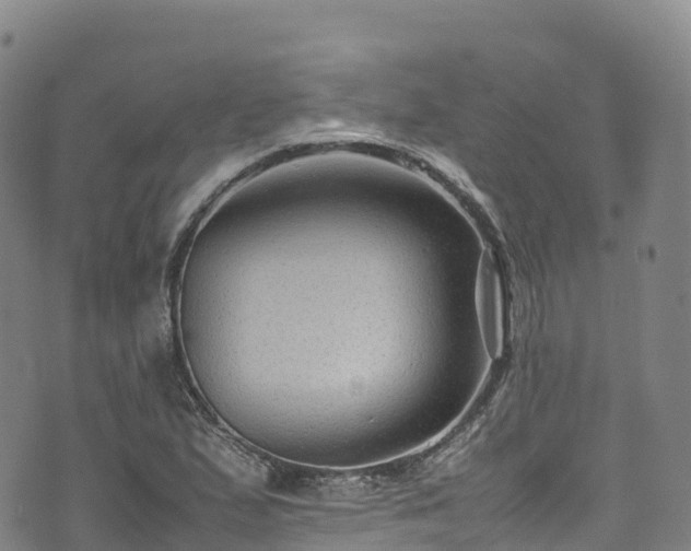 X0000074291167200609011359