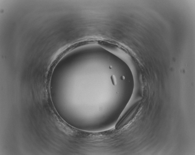 X0000074291168200609011359