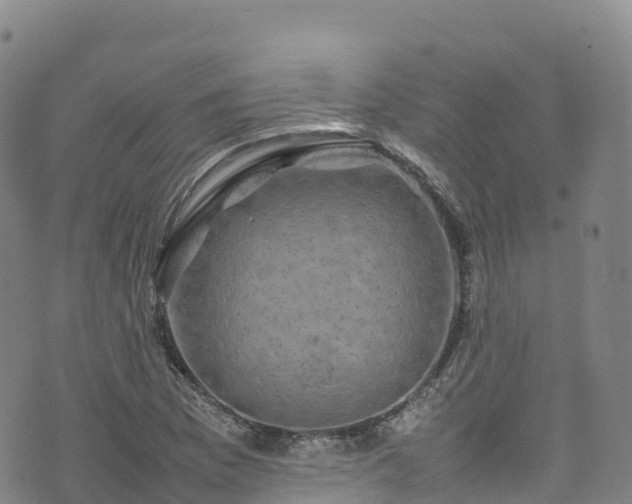 X0000074291169200609011359