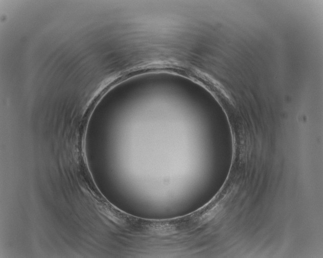 X0000074291170200609011359