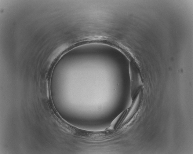 X0000074291171200609011359