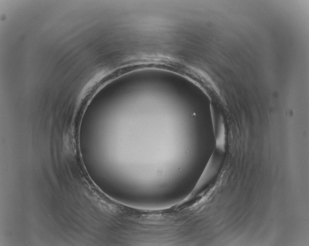 X0000074291172200609011359