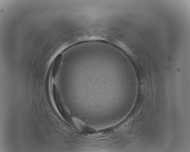 X0000074291173200609011359