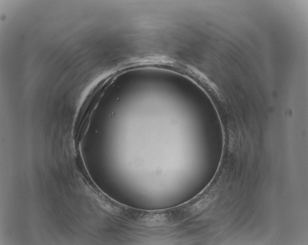 X0000074291174200609011359