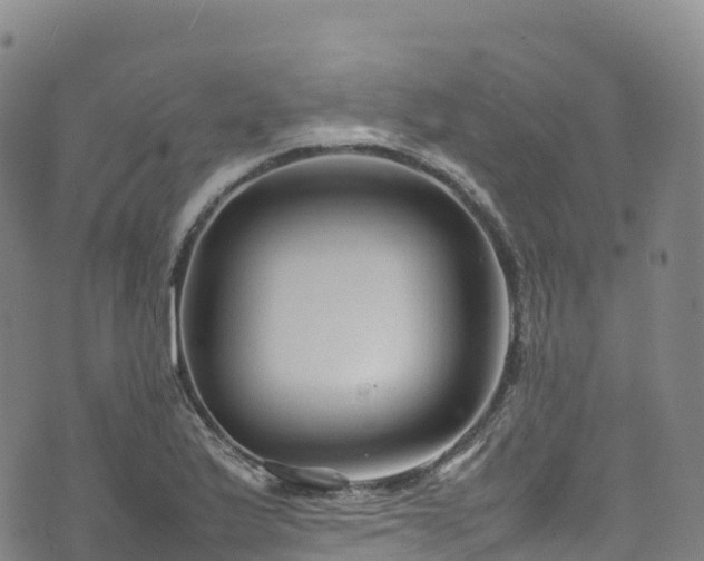 X0000074291175200609011359