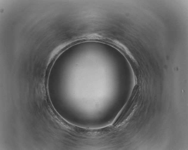 X0000074291176200609011359