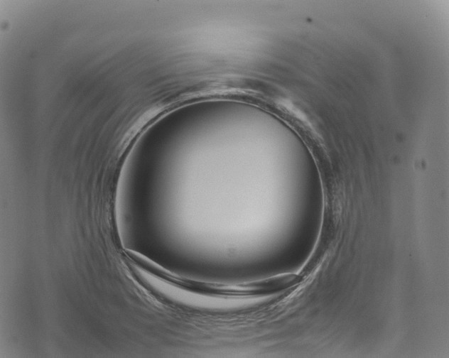 X0000074291177200609011359