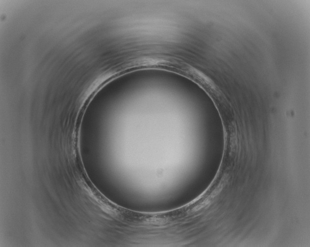 X0000074291178200609011359