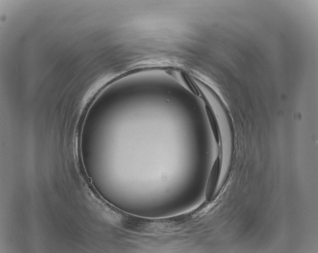 X0000074291179200609011359