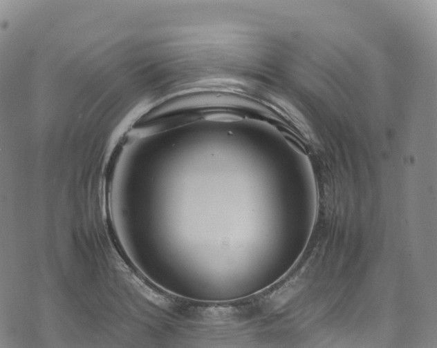 X0000074291180200609011359