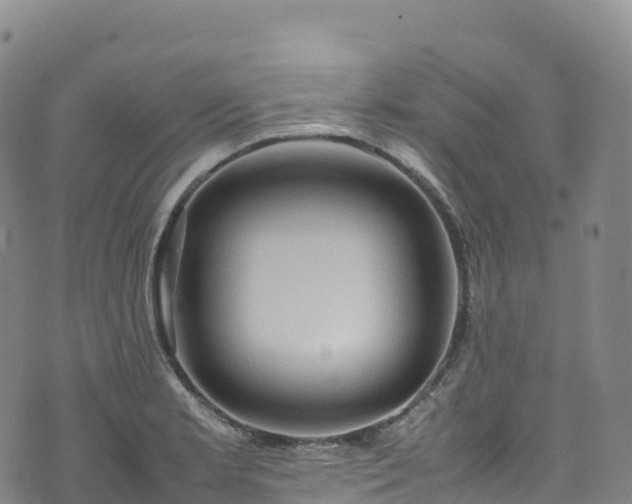 X0000074291181200609011359