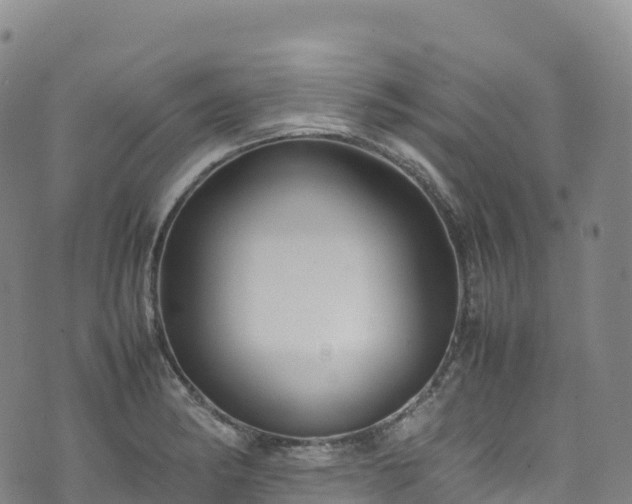 X0000074291182200609011359