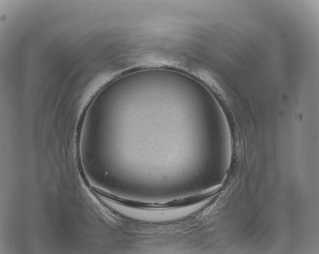 X0000074291183200609011359