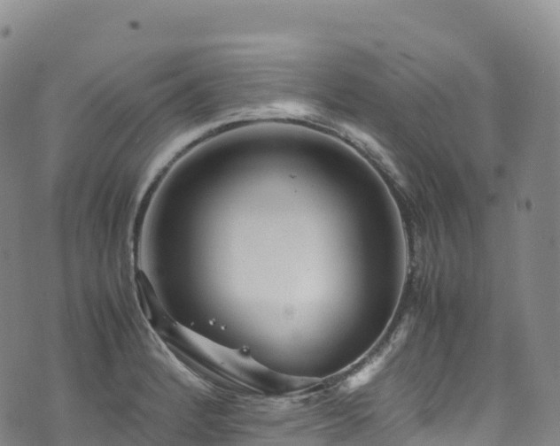 X0000074291184200609011359