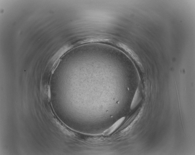 X0000074291185200609011359