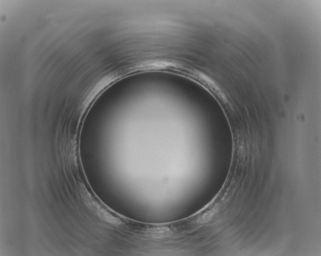 X0000074291186200609011359