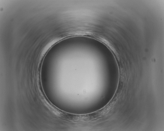 X0000074291187200609011359