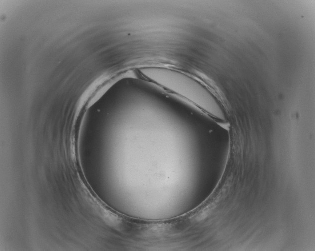 X0000074291188200609011359