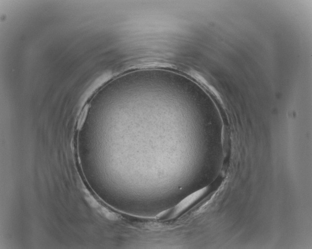 X0000074291189200609011359