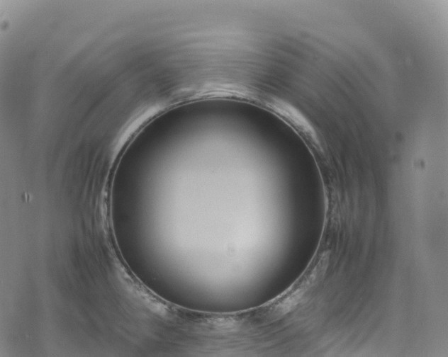 X0000074291190200609011359