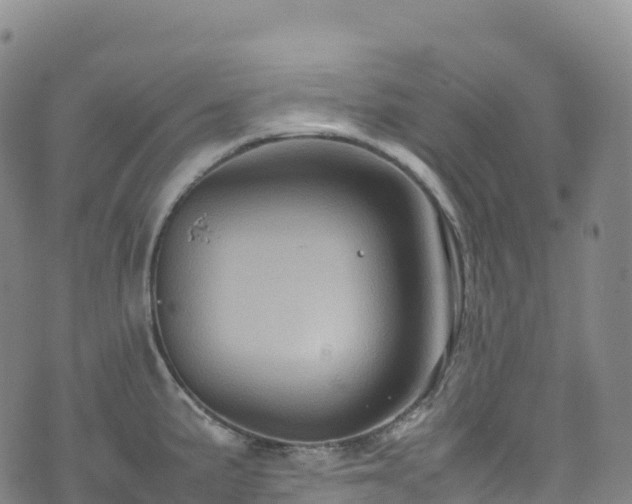 X0000074291191200609011359