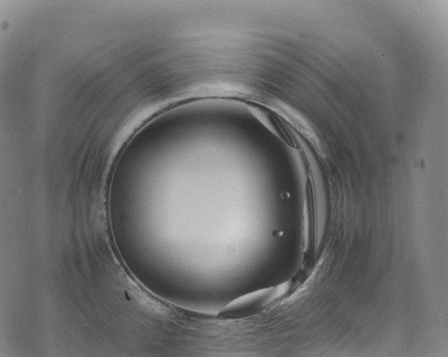 X0000074291192200609011359