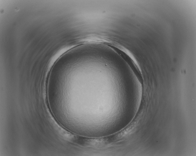 X0000074291195200609011359