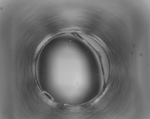 X0000074291196200609011359