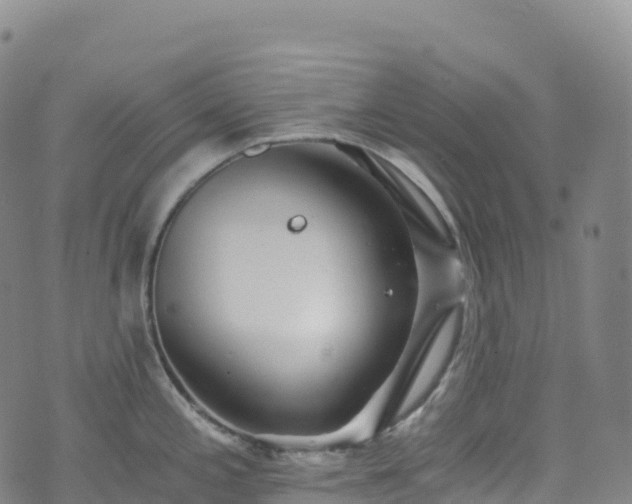 X0000074291197200609011359