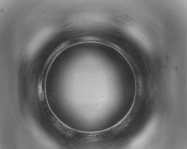 X0000074291198200609011359