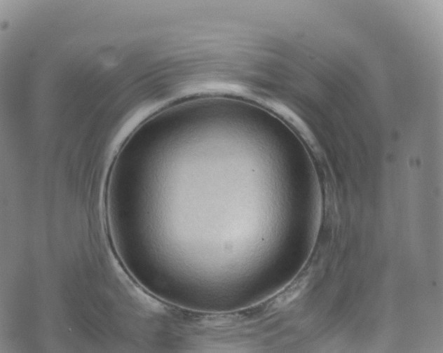 X0000074291199200609011359