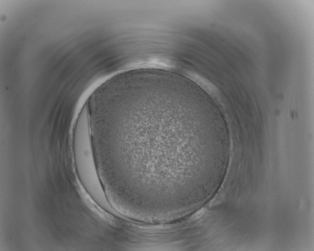 X0000074291200200609011359