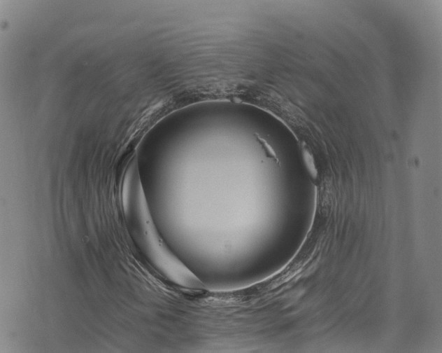 X0000074291202200609011358