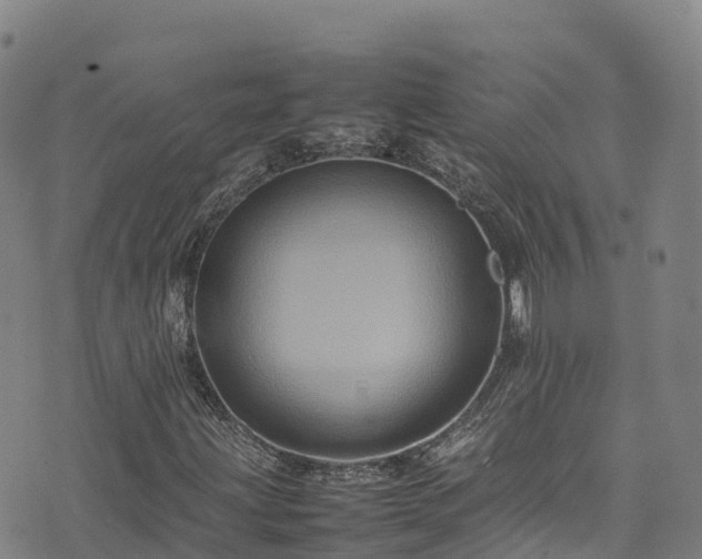 X0000074291203200609011358