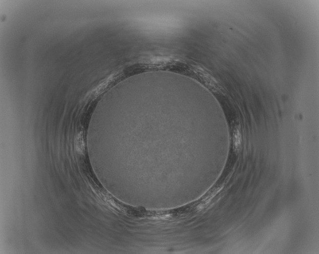 X0000074291204200609011358