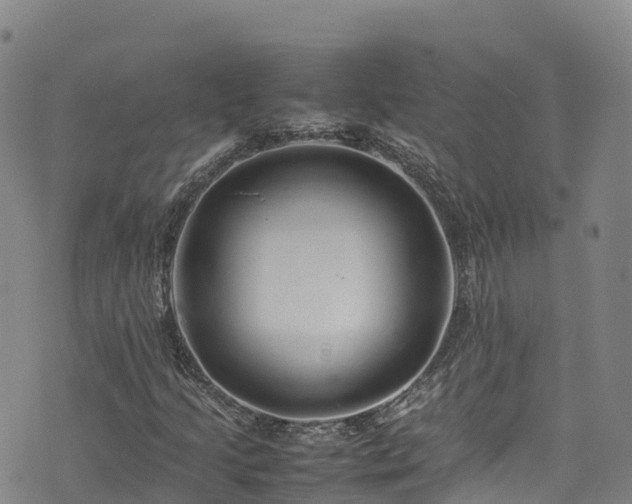 X0000074291205200609011358