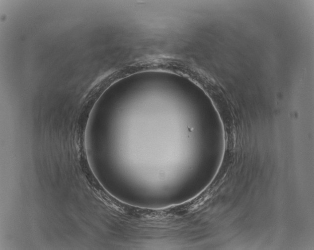 X0000074291206200609011358