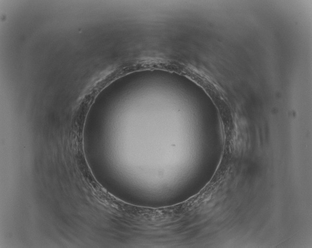 X0000074291207200609011358