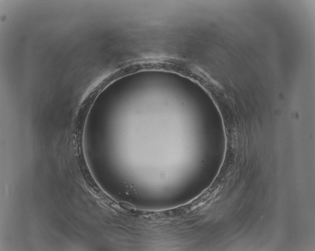 X0000074291208200609011358