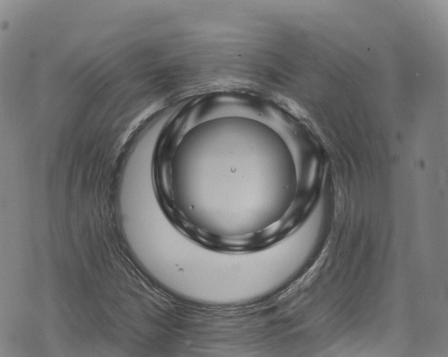 X0000074291210200609011358