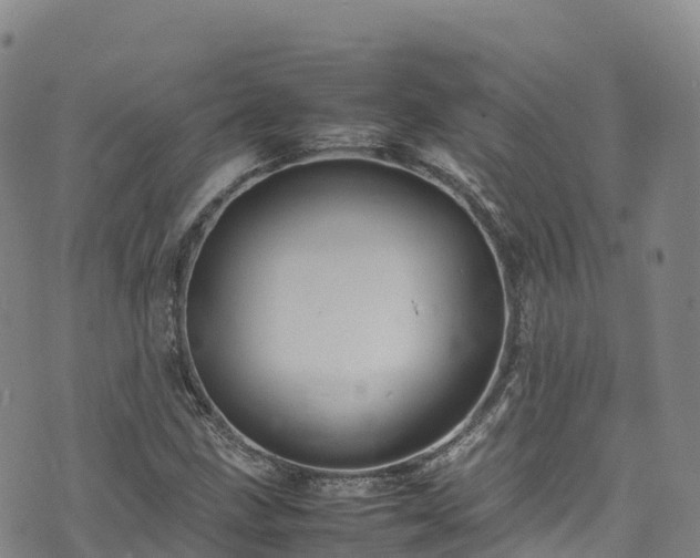 X0000074291211200609011358