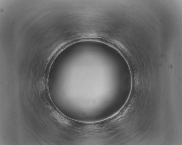 X0000074291212200609011358