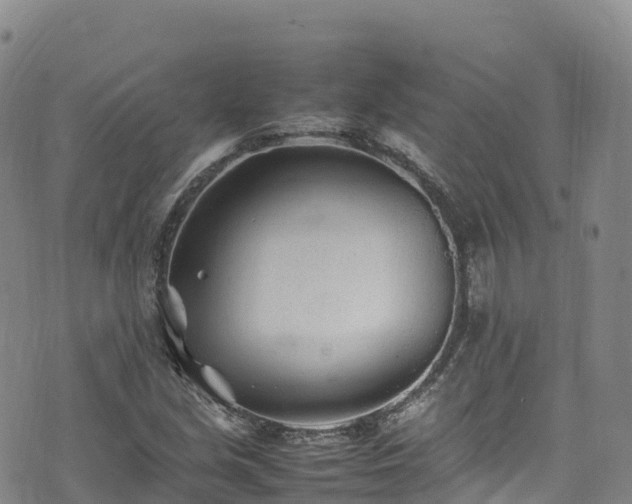 X0000074291213200609011358