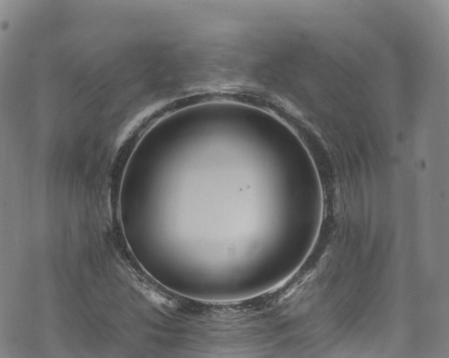 X0000074291214200609011358