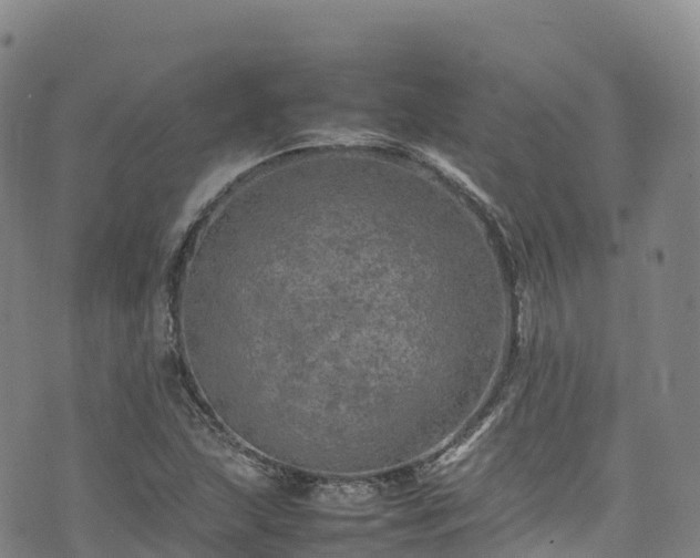 X0000074291215200609011358