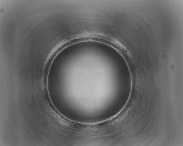 X0000074291216200609011358