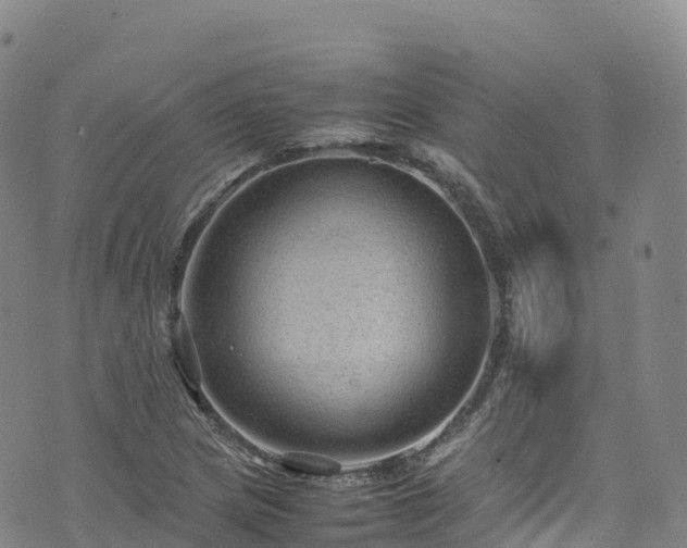 X0000074291217200609011358